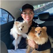 Clases particulares de natación